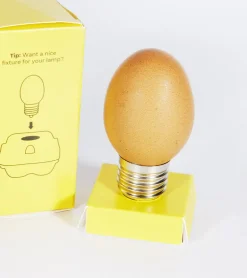 Ampoule-oeuf