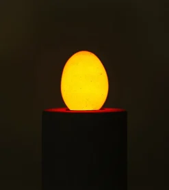 Ampoule-oeuf