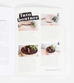 Comment ne pas faire crever ses plantes