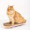 Griffoir skateboard pour chats