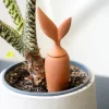 Irrigateur en terre cuite