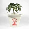 Pot à plantes Ramen