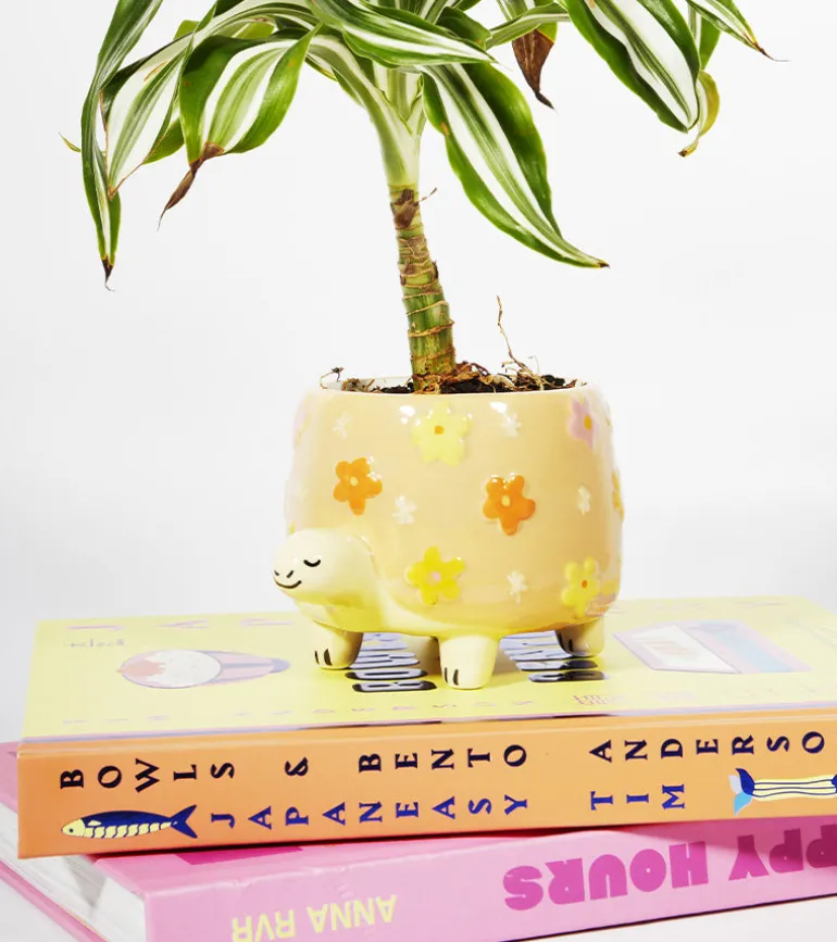 Pot à plantes tortue